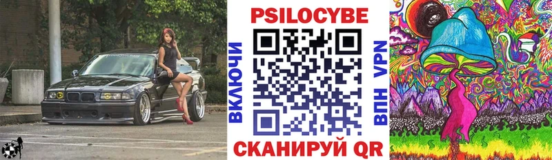 Псилоцибиновые грибы Psilocybe  наркошоп  Новосибирск 