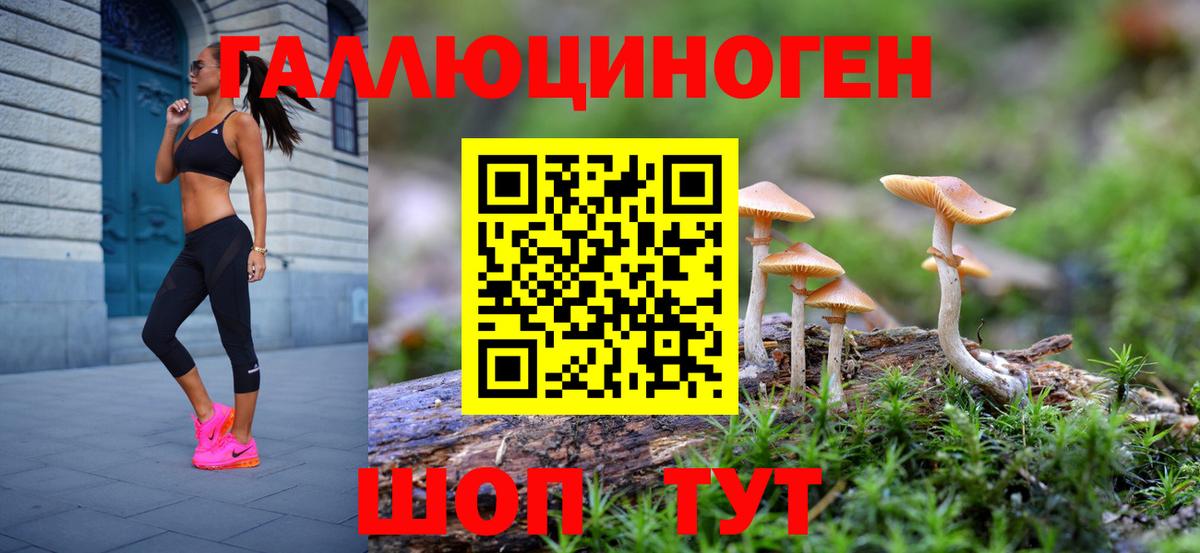 Псилоцибиновые грибы GOLDEN TEACHER  Псилоцибиновые грибы Cubensis  Вход с VPN  Новосибирск 