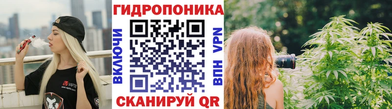 Шишки марихуана SATIVA & INDICA  где купить наркоту  Новосибирск 